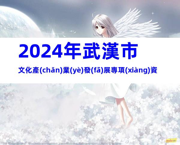 2024年武漢市文化產(chǎn)業(yè)發(fā)展專項(xiàng)資金項(xiàng)目(第一批)申報(bào)條件、時間