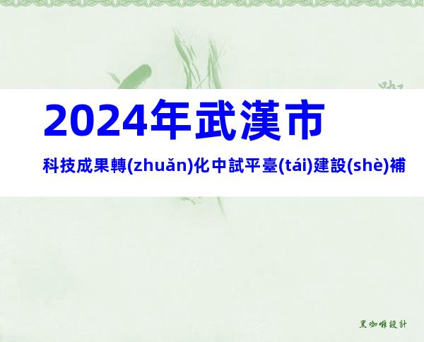 2024年武漢市科技成果轉(zhuǎn)化中試平臺(tái)建設(shè)補(bǔ)助資金申報(bào)條件、時(shí)間及獎(jiǎng)補(bǔ)