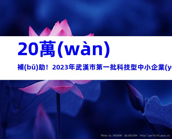20萬(wàn)補(bǔ)助！2023年武漢市第一批科技型中小企業(yè)技術(shù)創(chuàng)新專項(xiàng)項(xiàng)目立項(xiàng)獎(jiǎng)勵(lì)和申請(qǐng)時(shí)間程序