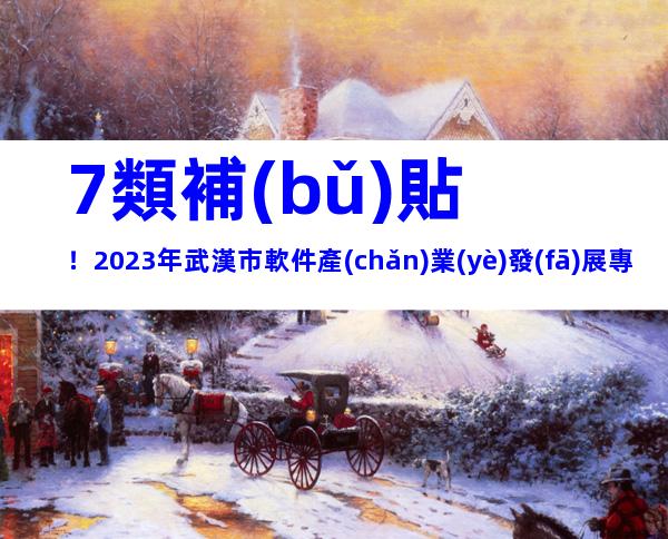 7類補(bǔ)貼！2023年武漢市軟件產(chǎn)業(yè)發(fā)展專項(xiàng)資金申報時間流程和獎勵要求指南