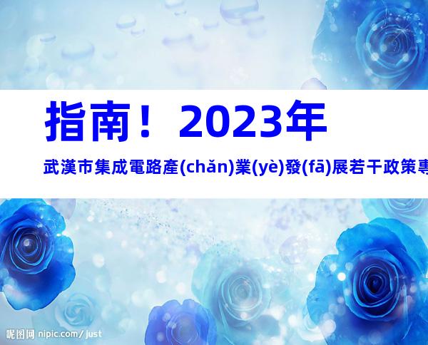指南！2023年武漢市集成電路產(chǎn)業(yè)發(fā)展若干政策專(zhuān)項(xiàng)資金申報(bào)獎(jiǎng)勵(lì)獎(jiǎng)補(bǔ)和流程條件匯總