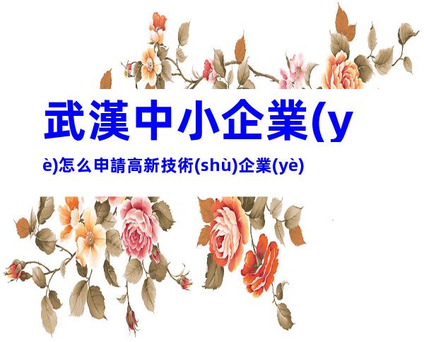 武漢中小企業(yè)怎么申請高新技術(shù)企業(yè)