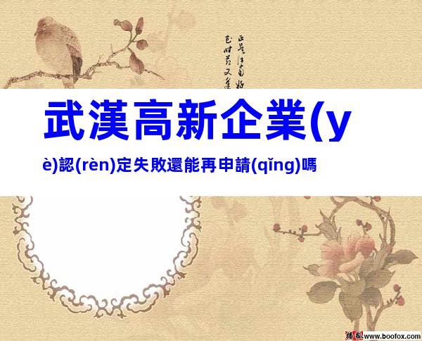武漢高新企業(yè)認(rèn)定失敗還能再申請(qǐng)嗎