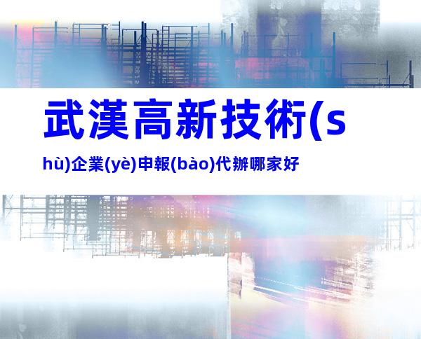 武漢高新技術(shù)企業(yè)申報(bào)代辦哪家好