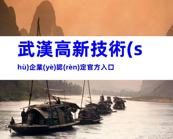 武漢高新技術(shù)企業(yè)認(rèn)定官方入口