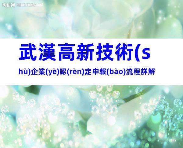 武漢高新技術(shù)企業(yè)認(rèn)定申報(bào)流程詳解