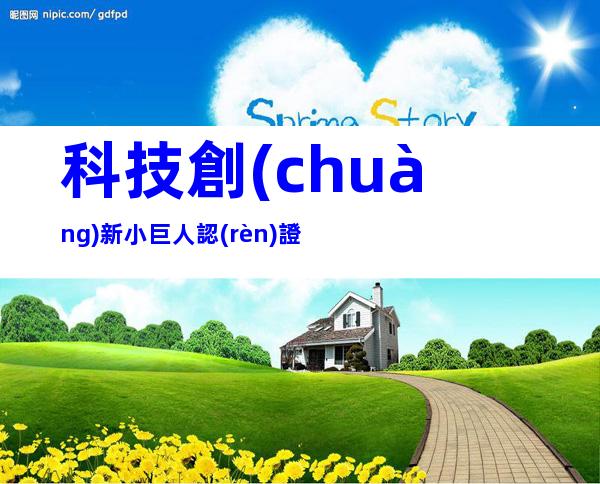 科技創(chuàng)新小巨人認(rèn)證