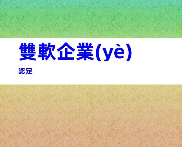 雙軟企業(yè)認定